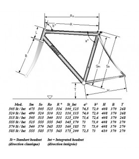 Cadre Rewel titane route